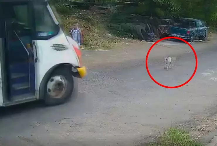 Usuarios denunciaron que esta situación se repite con frecuencia en la zona