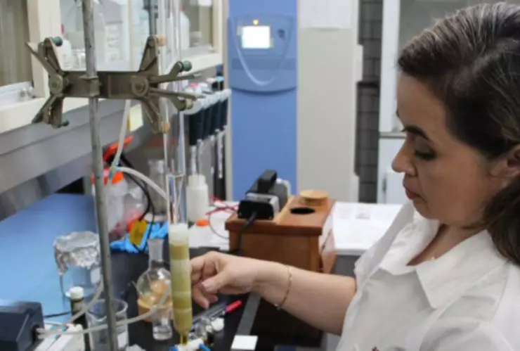 Premian a investigadora del IPN por aportes en medicina tradicional