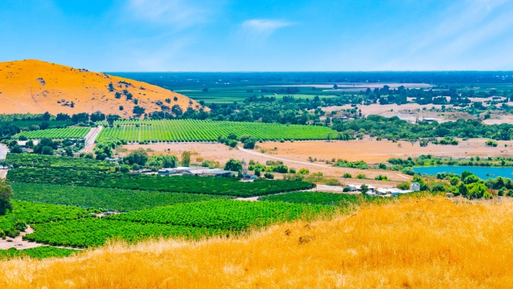 Postal de San Joaquin Valley.