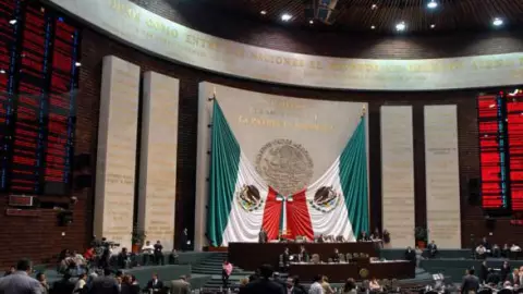 camara de diputados