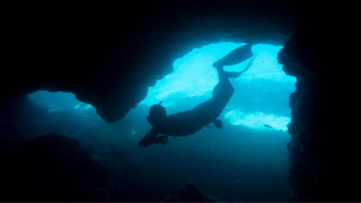 Exploración submarina de Cenotes