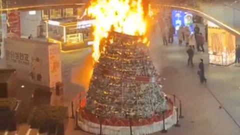 1280 x 720 px - 2025-11-27T195405.554.jpg