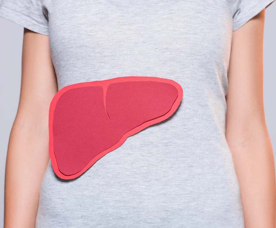 partial view of woman with paper made human liver on grey background