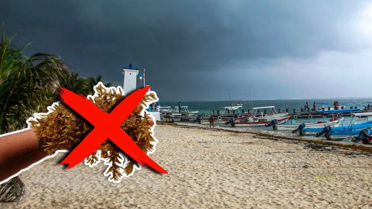 Estas son las playas sin sargazo en Cancún, Isla Mujeres, Holbox, Puerto Morelos, Playa del Carmen y Cozumel hoy 22 de septiembre de 2025.jpg