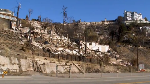 Zona quemada por incendios en California 2025.jpg