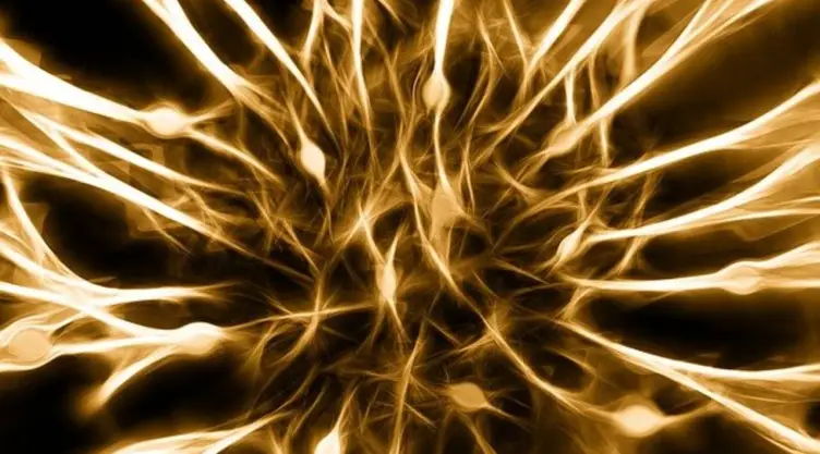 neuronas .jpg
