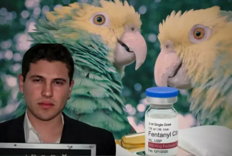 Con animales exóticos, cárteles mexicanos pagan el fentanilo a China para evadir a EU