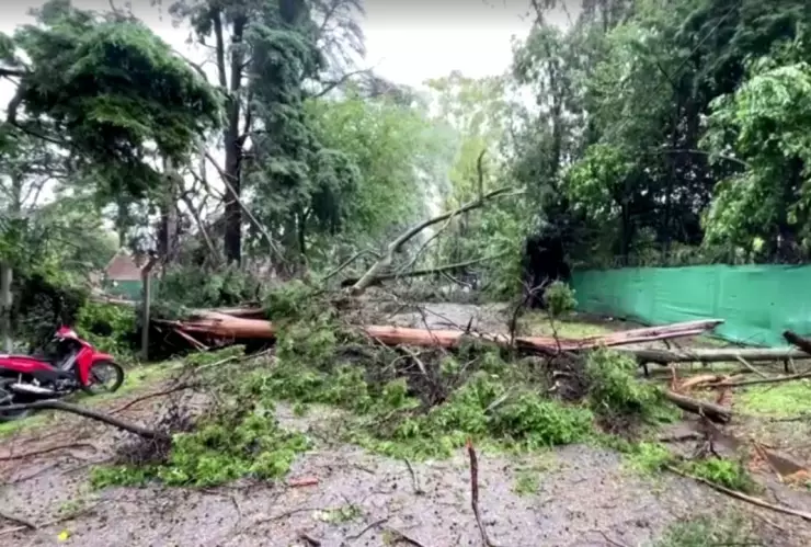 Temporal deja 13 muertos y múltiples heridos en Bahía Blanca, Argentina