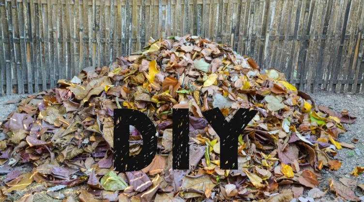 5 ideas para reutilizar las hojas secas del otoño y decorar el hogar