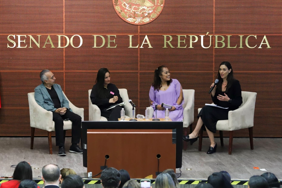 Llaman a legislar para evitar el reclutamiento de menores por parte del crimen organizado.jpg