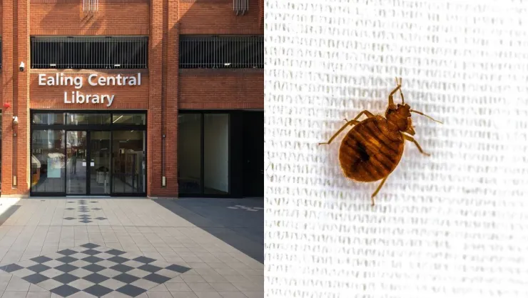 ¡No se van! Biblioteca de Londres cierra por plaga de chinches