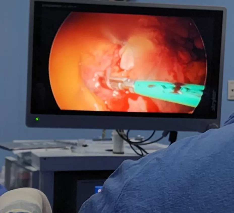 WhatsApp Image 2025-06-02 at 16.32.53.jpg