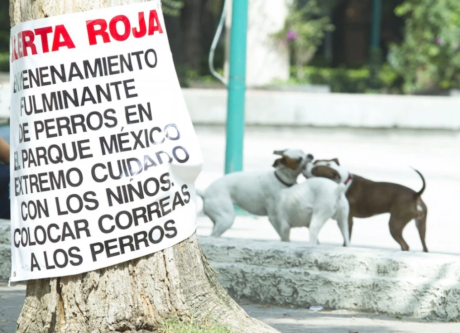 Parque México