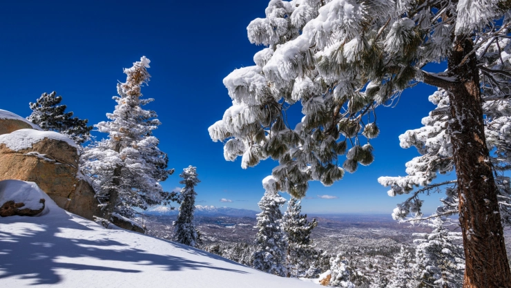 Postal de nieve en California