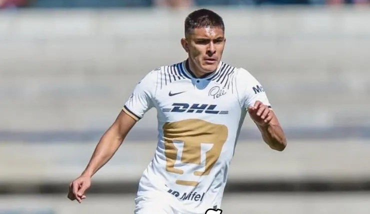 Pumas