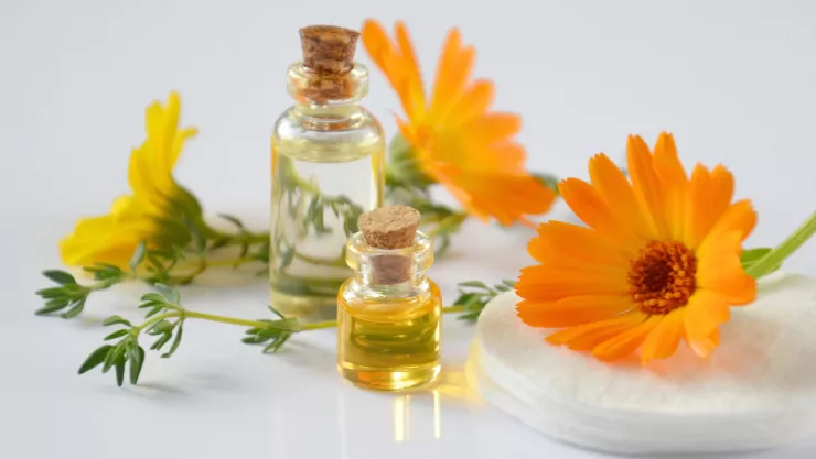 Elimina las arrugas del rostro con este aceite rico en colágeno