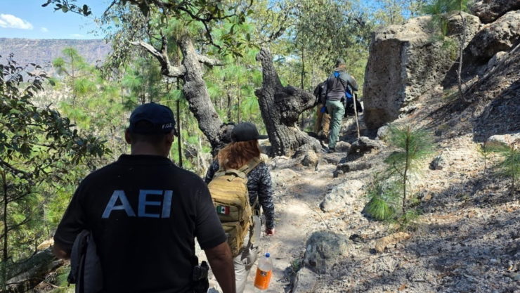 hallazgo de una osamenta