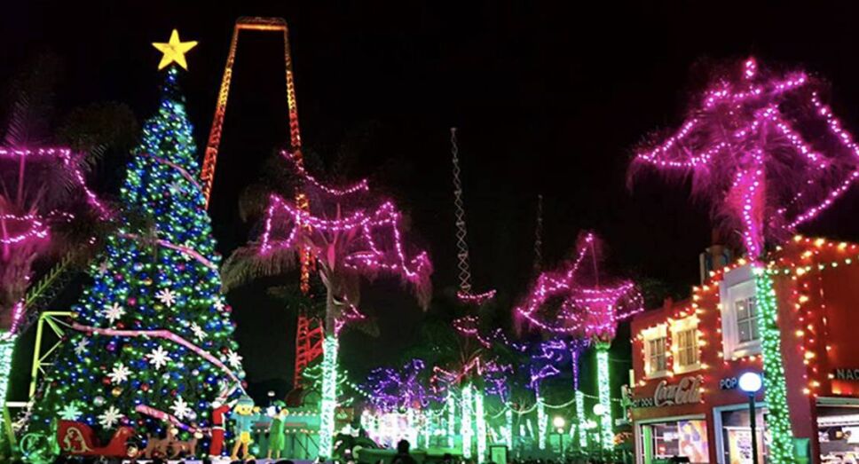 christmas in the park
