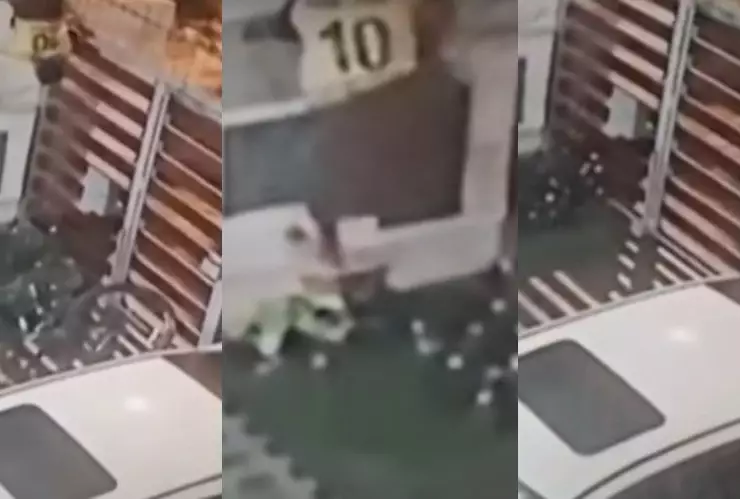 ladrón-atrapado-muere-reja-pierna-incrusto-en-púa-huída-video