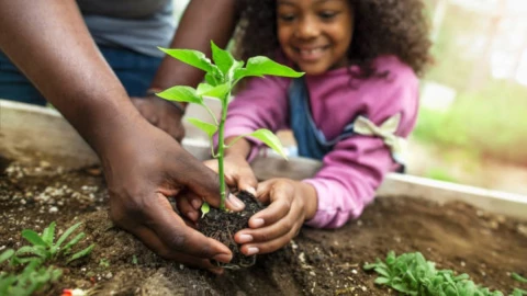 Plantando plantas.jpg