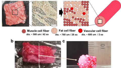 filete de carne impreso 3D
