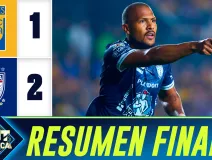 RESUMEN FINAL tigres.jpg