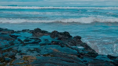 ¿Por qué se dice que Tijuana no tiene playas y por qué son peligrosas?