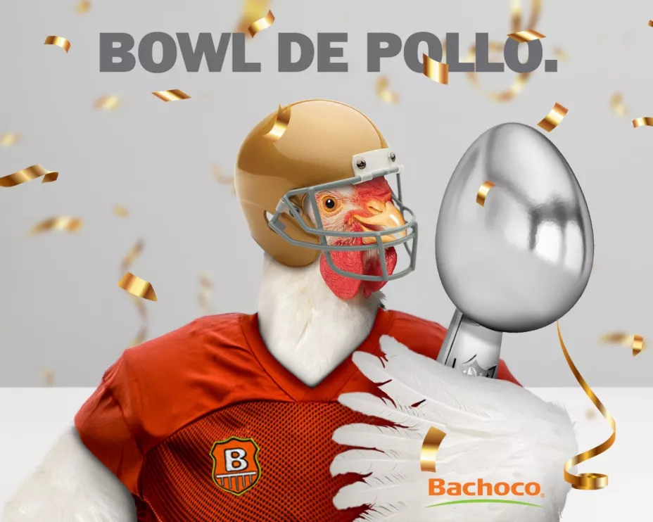 unnamed - 2026-02-06T105524.927.jpg