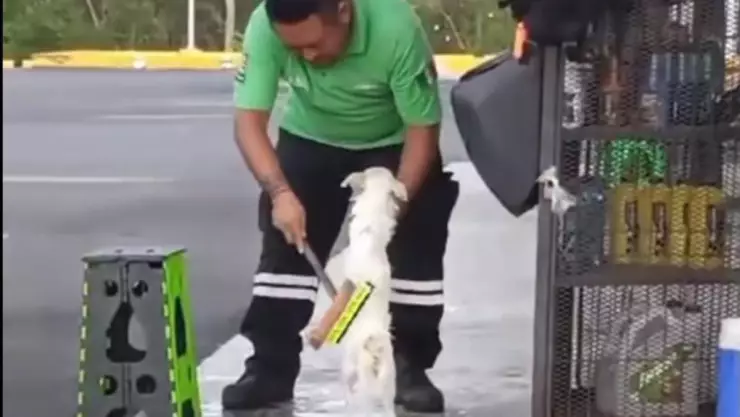 VIDEO_ Despachador de gasolina en Yucatán es captado bañando a un lomito