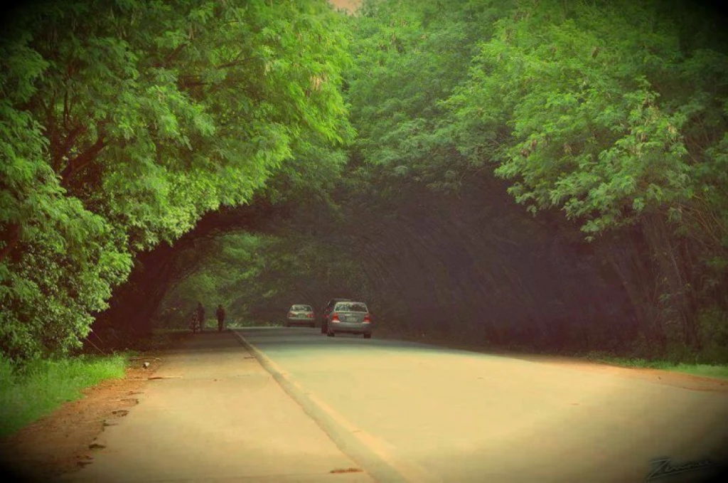 Foto: Especial