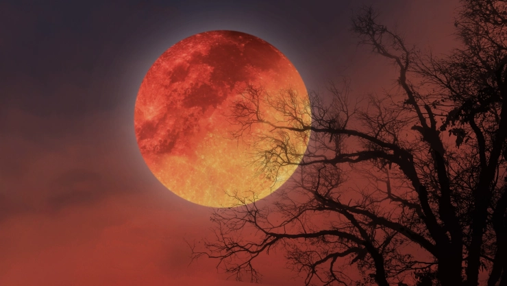 Luna roja en el cielo tras un árbol.
