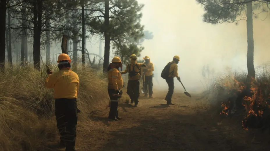 Combaten brigadistas 592 incendios forestales.jpg