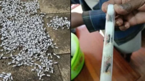 Así arrestaron a contrabandistas de hormigas en Kenia