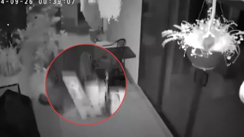 VIDEOS: Así grabaron el fuerte sismo en la CDMX durante la madrugada