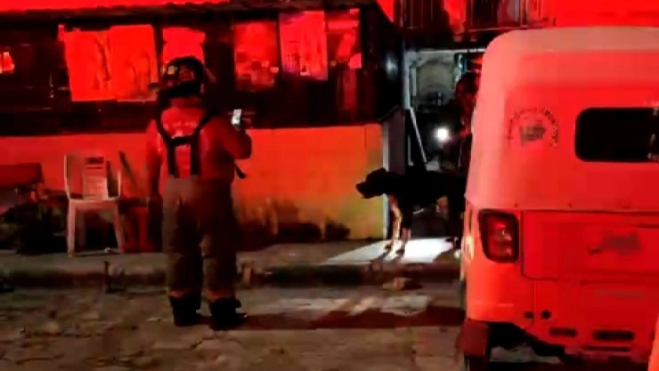 Pitbull ataca a sus dueños en Cancún tras no reconocerlos