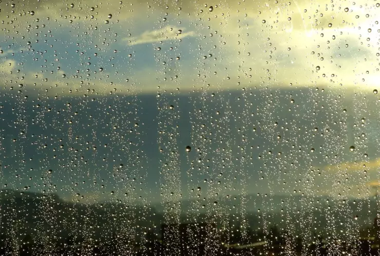 Los consentidos de Tláloc Estos son los municipios de Jalisco donde lloverá hoy 22 de mayo