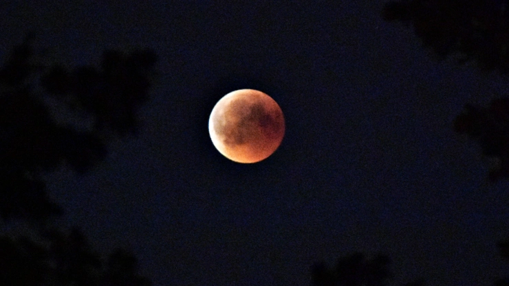 Eclipse-lunar-de-octubre-2023-Estados-en-los-que-se-verá