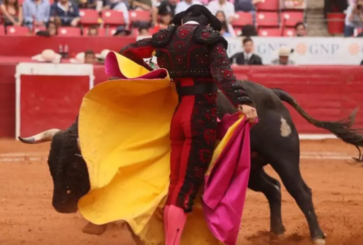 suspensión actividades Plaza México