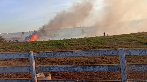 Reporte de Bomberos por vientos de Santa Ana en Tijuana hoy miércoles 6 de noviembre de 2024