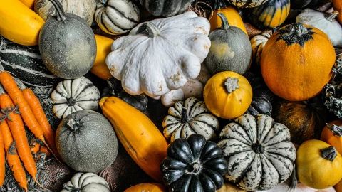 COLORES_PEXELS_SARAH