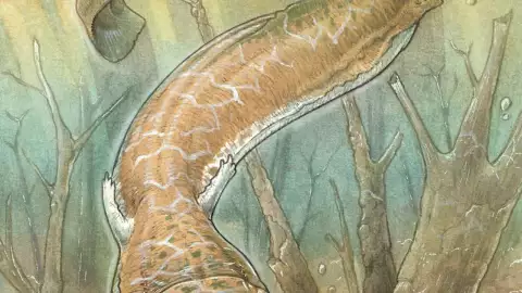 cosa-del-pantano-namibia