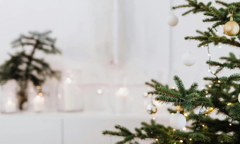 árbol de navidad (3).png