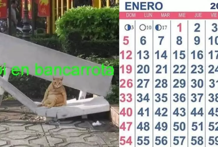 ¿Día 80? Por esta razón se siente que enero dura taaaaaanto; científicos lo explican