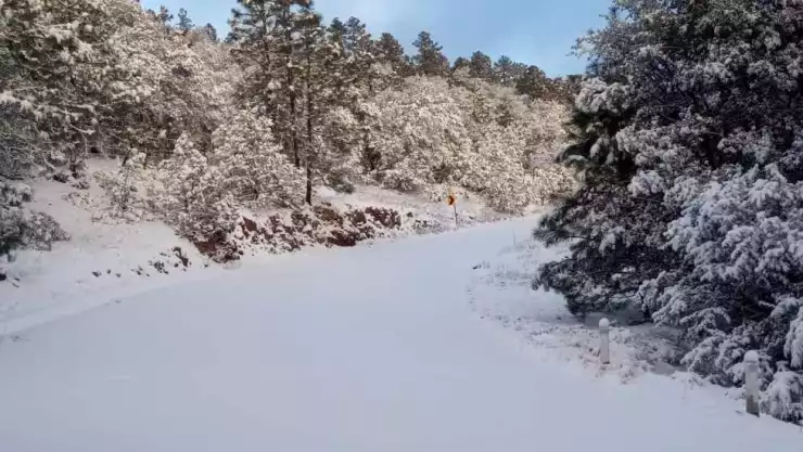 Frente frío 20 entra a México con heladas en 18 estados