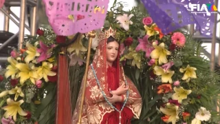 dia del músico garibaldi