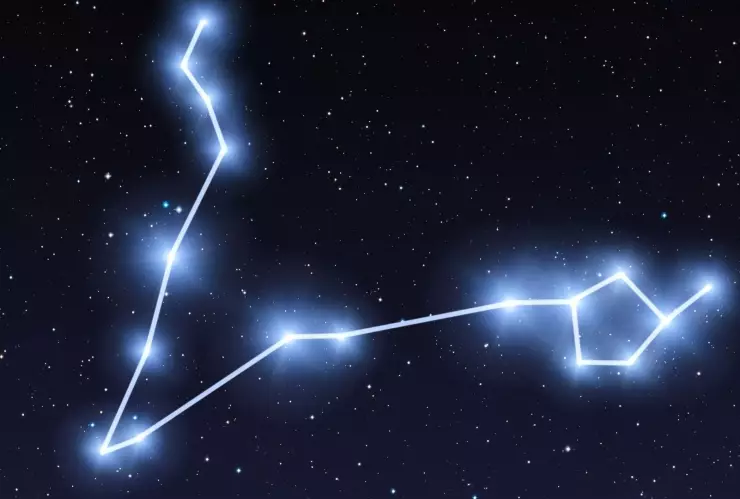 El signo del Zodiaco: Piscis