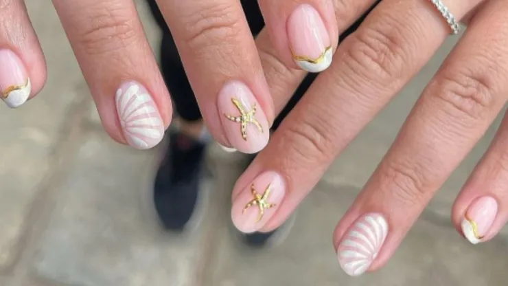 diseño minimalista de estrellas de mar