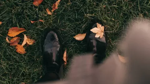 Este es el día EXACTO en que inicia el Otoño 2024 en México (1).jpg