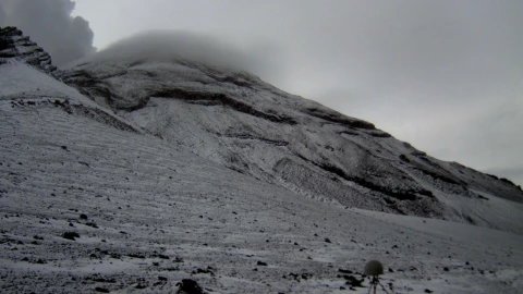 1858d9a7-6693-4a10-8fb6-582b9cb44d94 (1).jpg