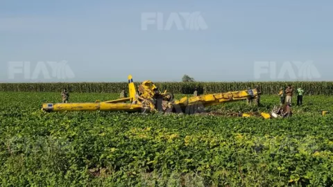 Avioneta se desploma en Ahome